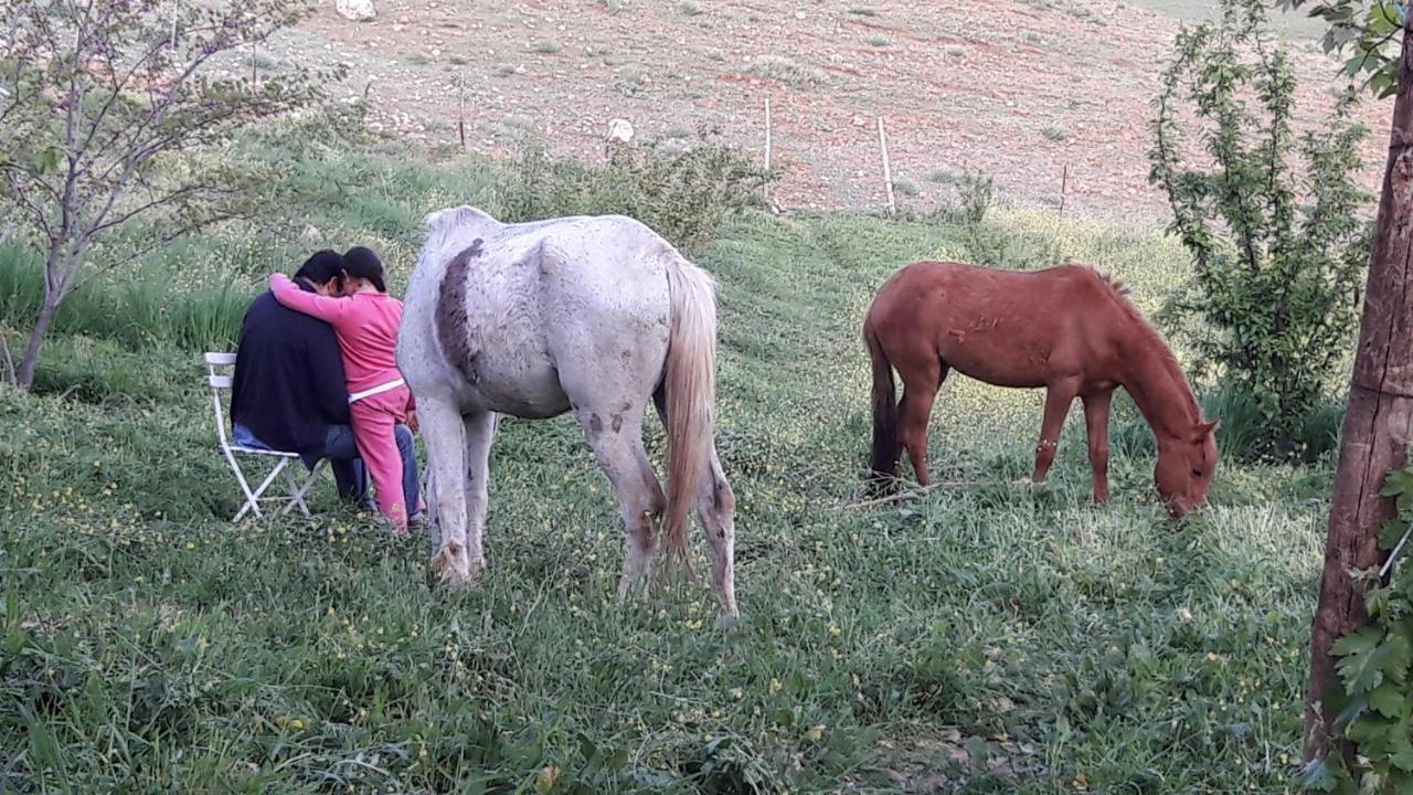 Le Chene D'Azrou Ξενοδοχείο Εξωτερικό φωτογραφία