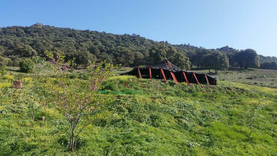 Le Chene D'Azrou Ξενοδοχείο Εξωτερικό φωτογραφία